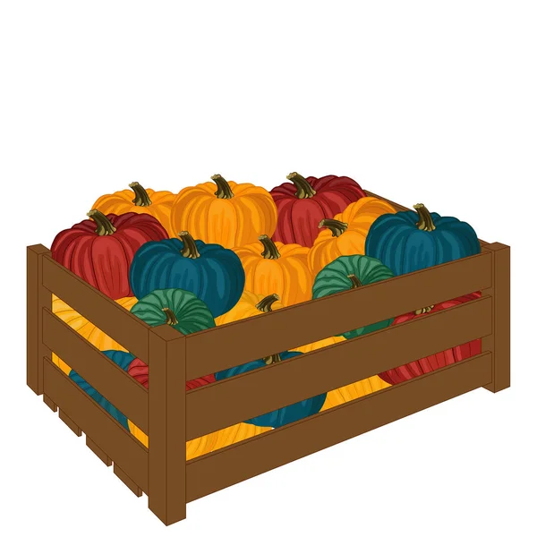 Caja de madera llena de calabazas Aislada sobre fondo blanco. Harv. — Vector de stock