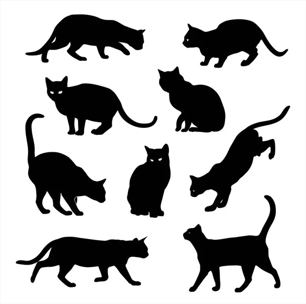 Conjunto de vetor silhueta gato isolado em branco — Vetor de Stock