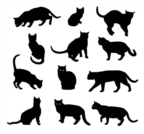 Векторный набор кошачьих силуэтов изолирован на белом — стоковый вектор