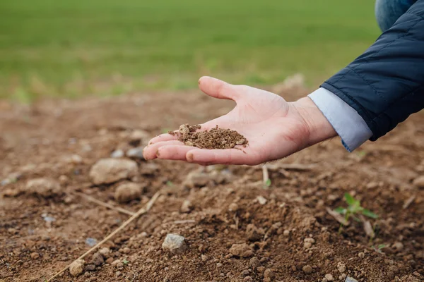 Investerarens hand håller en mark jord. Utomhus bakgrund Royaltyfria Stockfoton