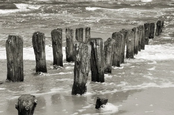 Breakwater на узбережжі Балтійського — стокове фото