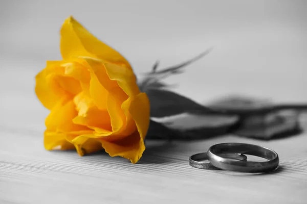 Yellow rose and wedding rings — Stock Photo, Image