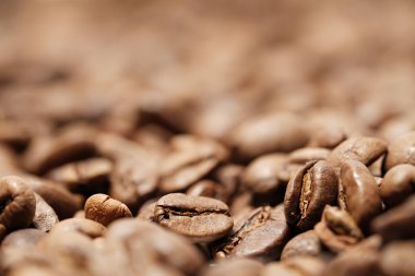 Kavrulmuş kahve çekirdeği. 