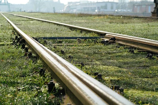 Railroad tracks in Magdeburg — Stock Photo, Image