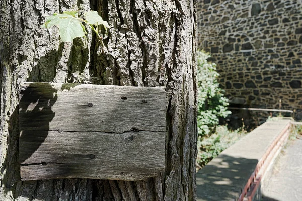 Wooden signboard on an tree — Stock Photo, Image