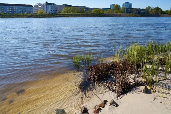 Rivier de Elbe in de buurt van Magdeburg — Stockfoto