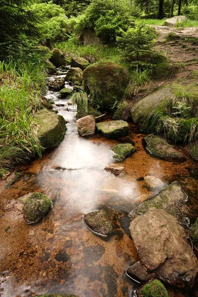 Arroyo de montaña en el Parque Nacional Harz — Foto de Stock