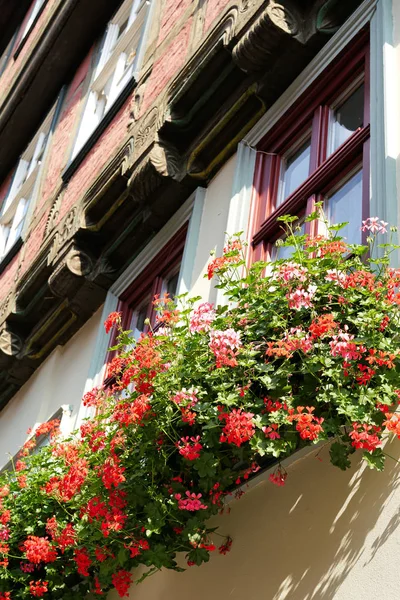 Flores en una casa de madera — Foto de Stock