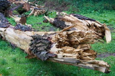  bir fırtınadan sonra