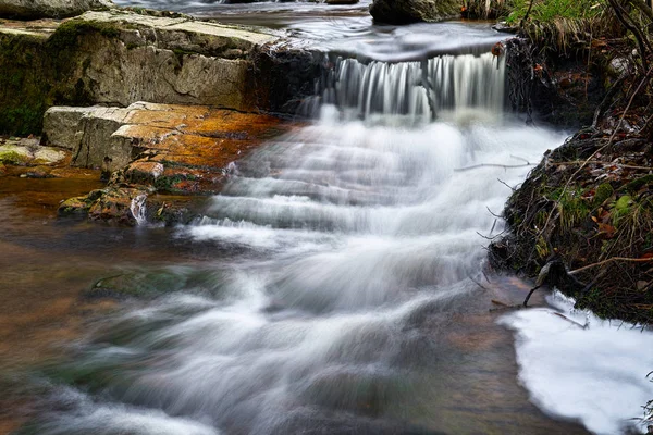 Die Ilse im Nationalpark Harz — Stockfoto