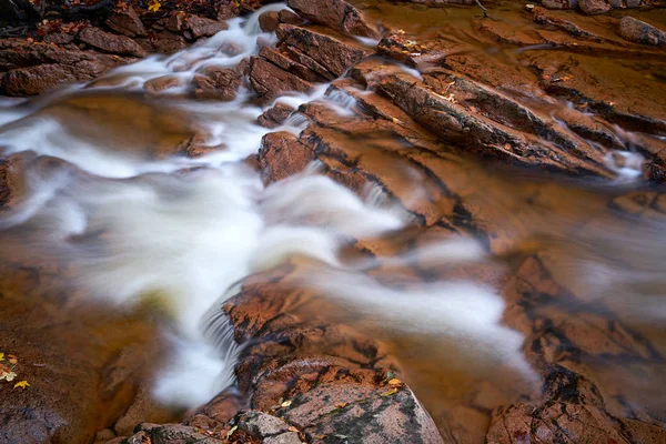 Die Ilse im Nationalpark Harz — Stockfoto