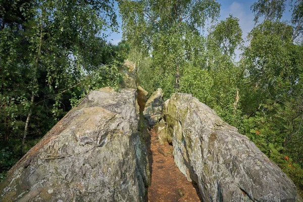 Sentiero Escursionistico Sul Teufelsmauer Tra Timmenrode Blankenburg Nel Parco Nazionale — Foto Stock