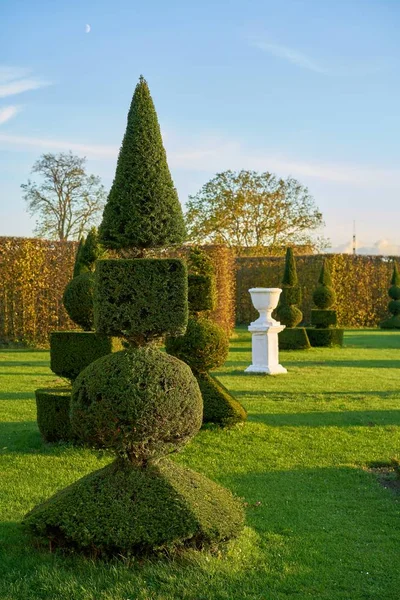 Box Trees Public Baroque Landscape Park Hundisburg Germany — Stock Photo, Image