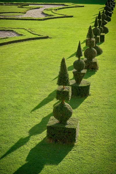 Cajas Árboles Parque Público Paisaje Barroco Hundisburg Alemania — Foto de Stock