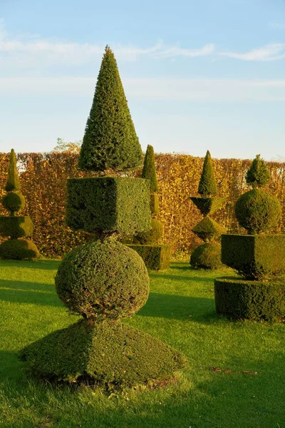 Box Trees Public Baroque Landscape Park Hundisburg Germany — Stock Photo, Image