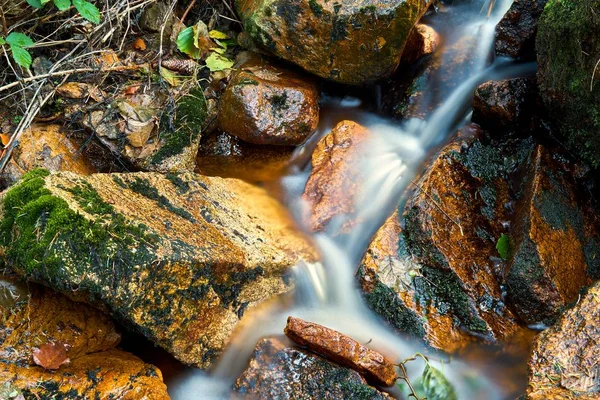 River Ilse Ilsenburg Harz National Park Germany — Stock Photo, Image