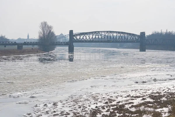 Rivier Elbe Buurt Van Magdeburg Met Hefbrug Winter — Stockfoto