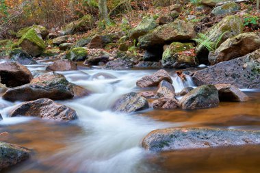 Nehir Ilse Ilsenburg Almanya Harz Ulusal Parkı