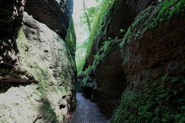 Eisenach yakınlarındaki Thüringen Ormanı 'ndaki Ejderha Geçidi' nde yürüyüş yolu.
