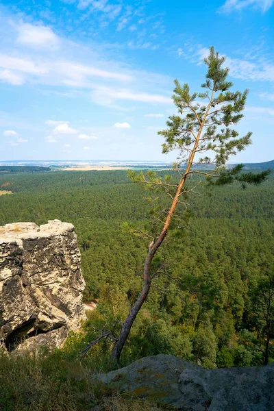 Blankenburg Yakınlarındaki Regenstein Dan Almanya Daki Harz Foreland — Stok fotoğraf