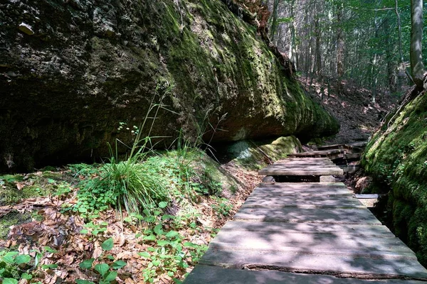 Sendero Landgrafenschlucht Cerca Eisenach Turingia — Foto de Stock