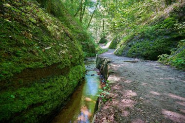 Hiking trail with a stream in the Dragon Gorge near Eisenach in Thuringia
