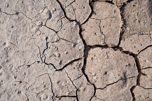 Terreno Reseco Del Campo Verano Durante Período Seco —  Fotos de Stock