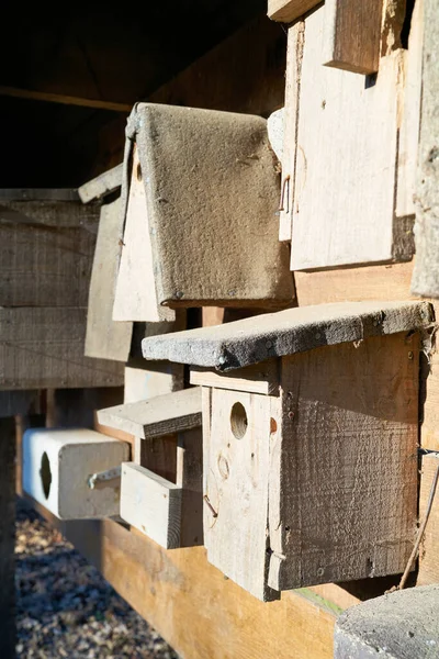 Hnízdící Boxy Pro Různé Druhy Ptáků Parku — Stock fotografie