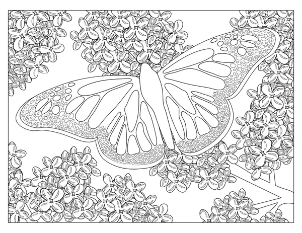 Πεταλούδα χρωματισμός σελίδα — Φωτογραφία Αρχείου