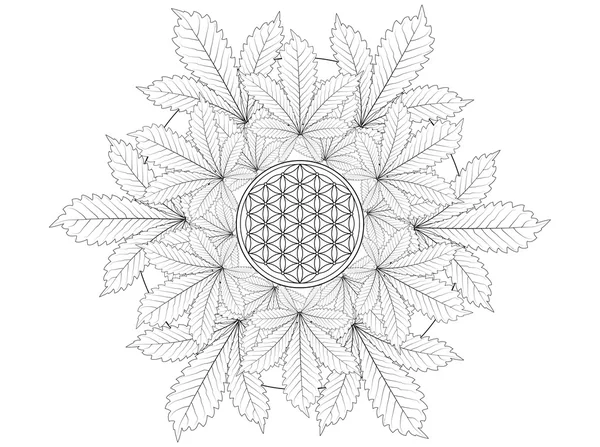 Cannabis Leaf Mandala färgläggning sida — Stockfoto