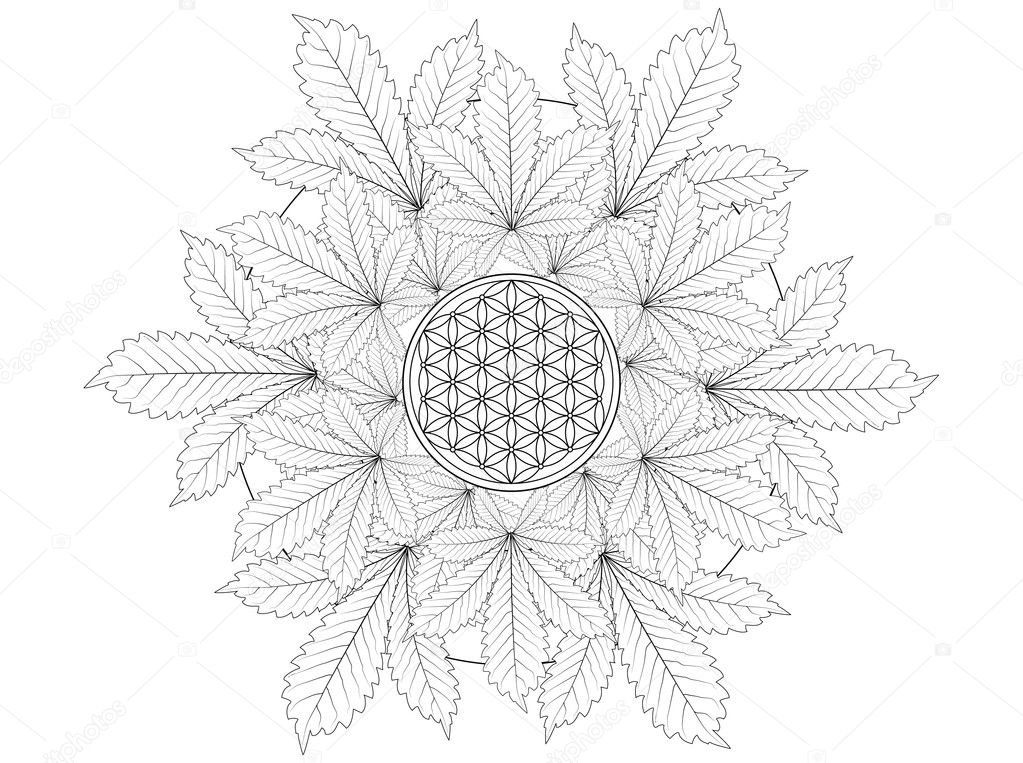 Cannabis Leaf Mandala Coloring Page