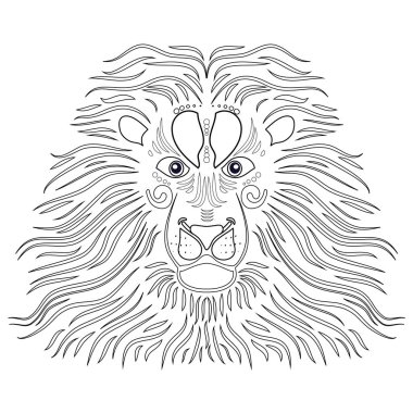 Aslan boyama sayfası