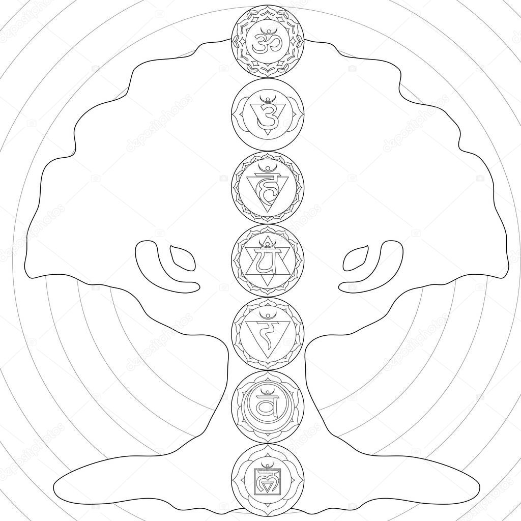Levensboom Chakra Kleurplaat Stockfoto Smk0473 129456852