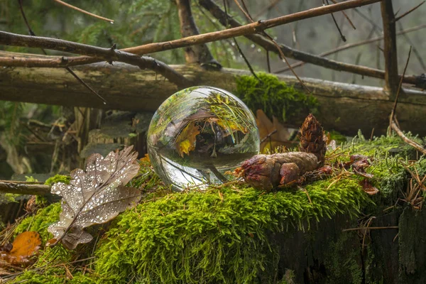 Palla di vetro si trova su un tronco d'albero ricoperto di muschio alberi specchiati e cielo — Foto Stock