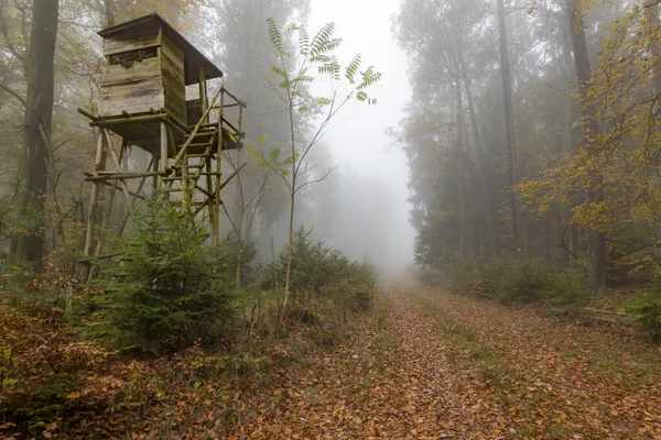 Cacciatore di legno arroccato sul bordo della foresta nella nebbia nella pineta autunnale — Foto Stock