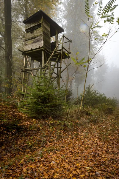 Dřevěný lovec usazený na kraji lesa v mlze podzimního borového lesa — Stock fotografie