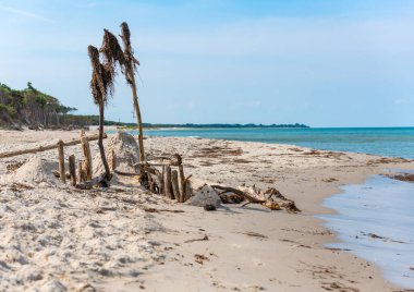 Kum tepeleri, çim, su ve gökyüzü ile Alman Baltık Denizi kıyısı