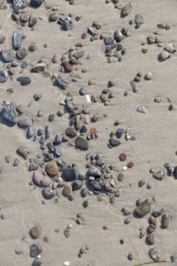 Kumsalın dibinde çakıl taşları ve deniz kabuklarıyla