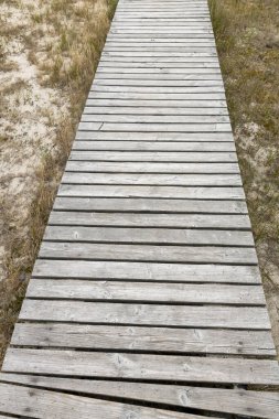 Baltık kıyısındaki doğa koruma alanındaki kumulların arasından ahşap iskeleler geçiyor.