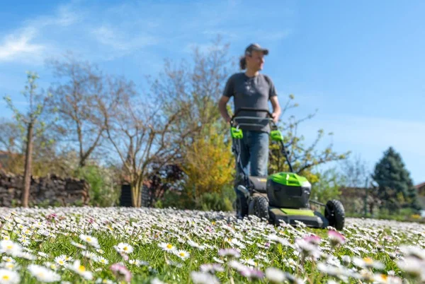 Pradera Con Margaritas Contra Cielo Azul Con Hombre Borroso Cortacésped —  Fotos de Stock