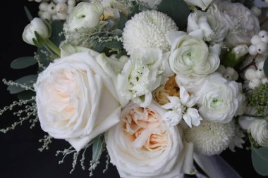 Renk beyazının soyut arkaplanı, krem beyaz O 'Hara