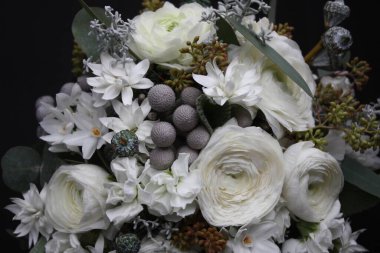 Renk beyazının soyut arkaplanı, krem beyaz O 'Hara