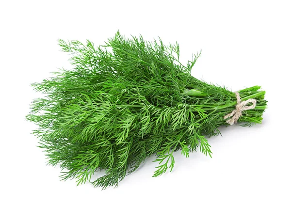 Dill aromatisches Kraut — Stockfoto