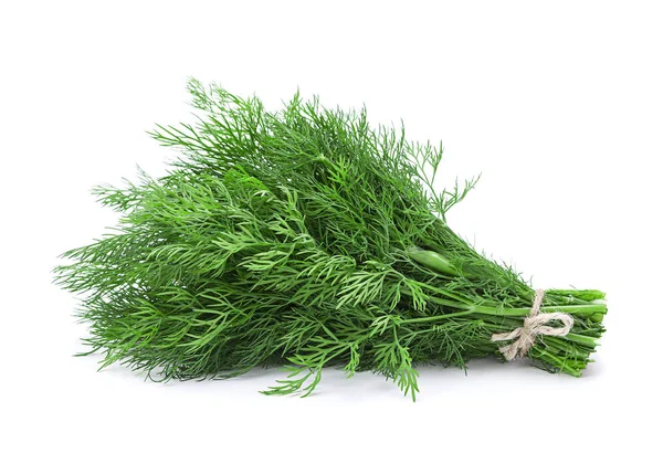 Dill aromatische kruid — Stockfoto