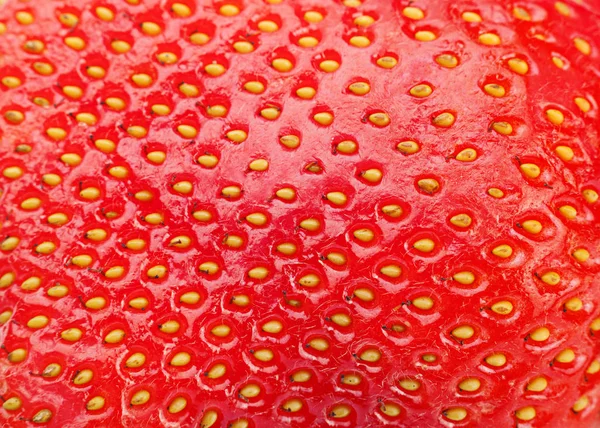 Erdbeere Makrohintergrund — Stockfoto