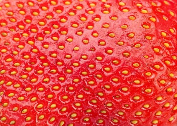 Fraise macro fond — Photo