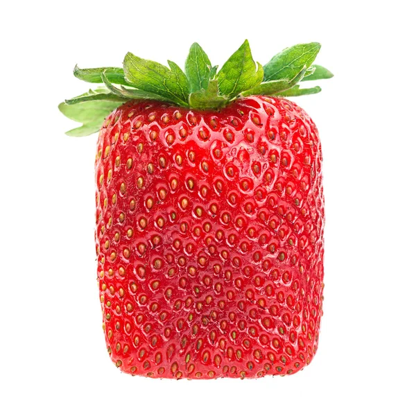 Erdbeerfrucht auf Weiß — Stockfoto