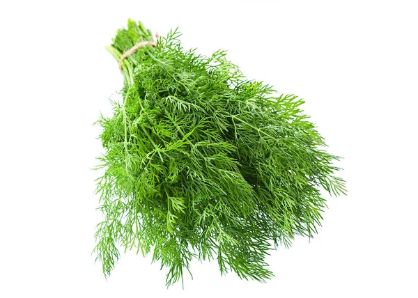 Dill herb — Stock Photo, Image