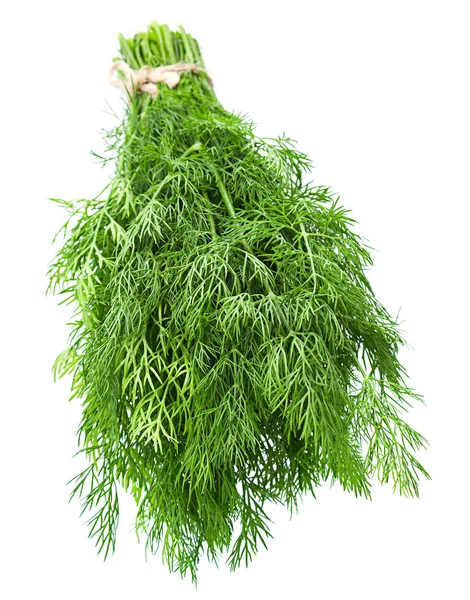 Dill ört närbild — Stockfoto