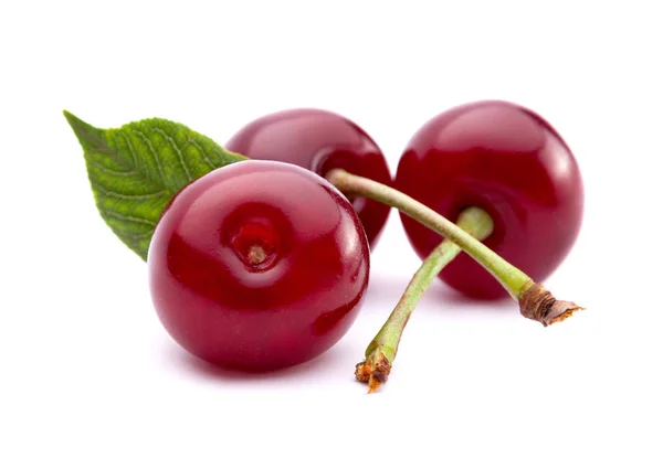 Kirschfrucht Nahaufnahme — Stockfoto